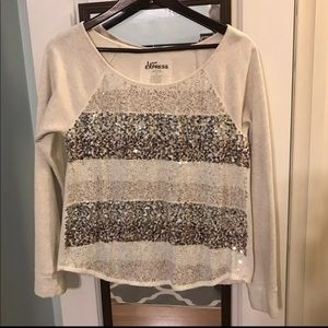 Express sparkly sweater